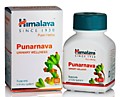 Punarvava Himalaya